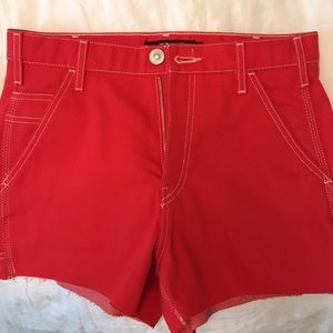 Hudson jeans carpenter shorts
